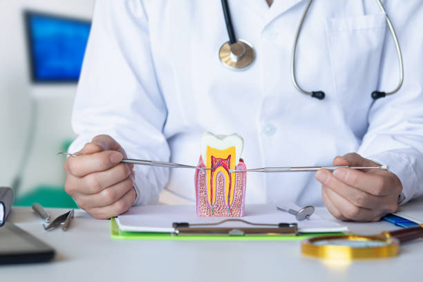Best Same-Day Emergency Dental Services in Drexel, NC